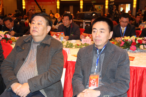热烈祝贺江苏省安徽商会一周年庆典暨新春联欢大会圆满成功(图2)