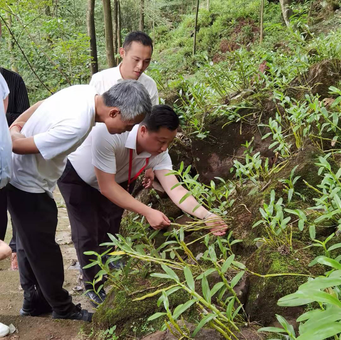 追寻长征足迹 重温红色之心(图8) 追寻长征足迹 重温红色之心(图8)